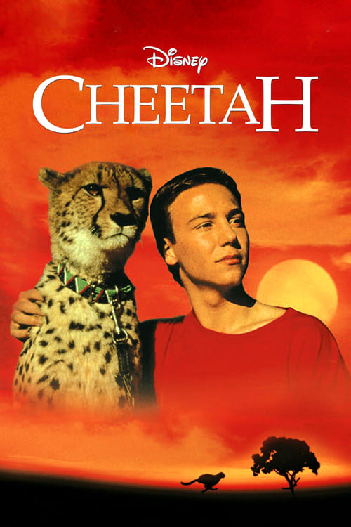 Cheetah